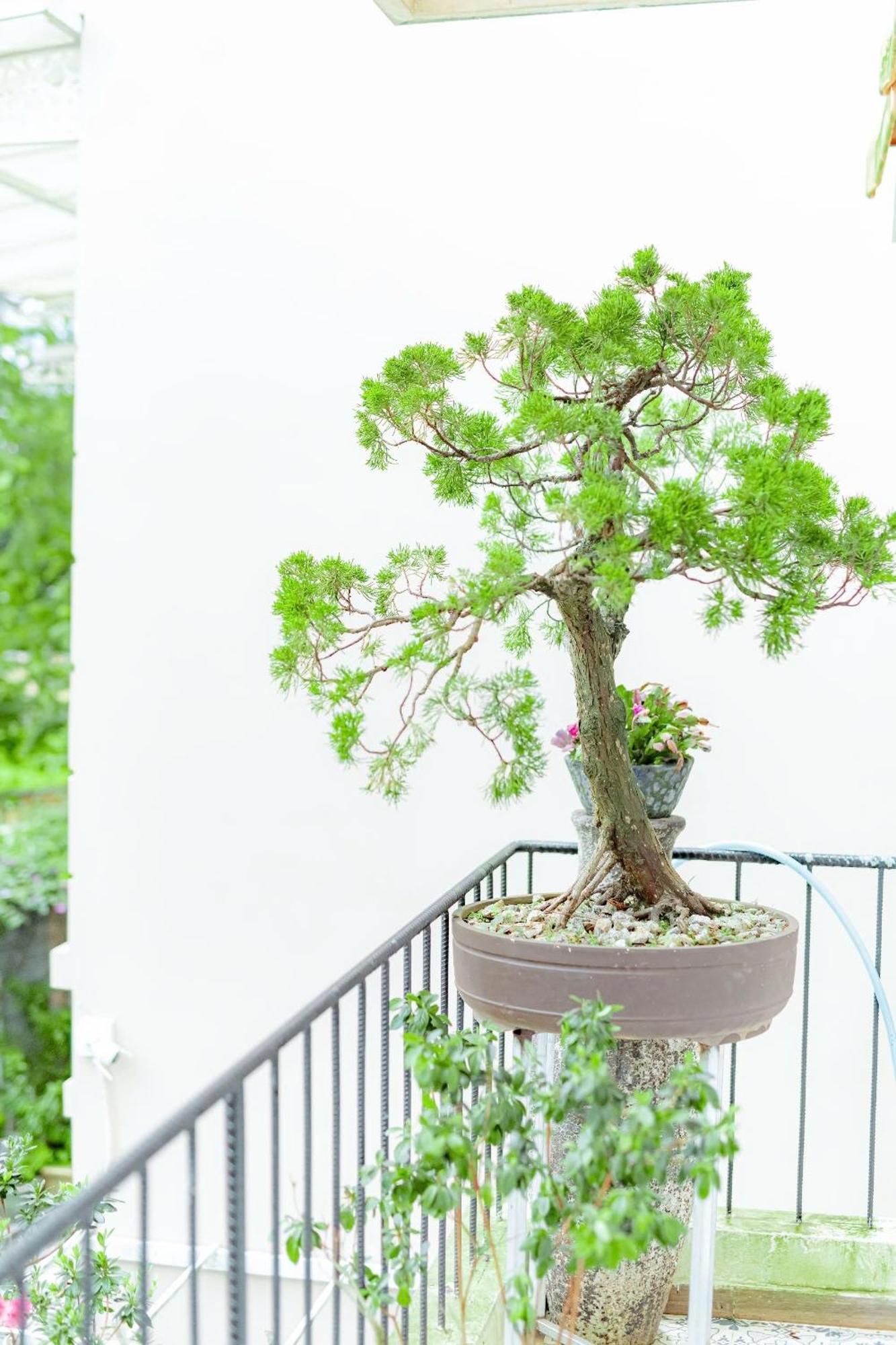 Villa Nho Xinh Khu Chi Lang Екстер'єр фото
