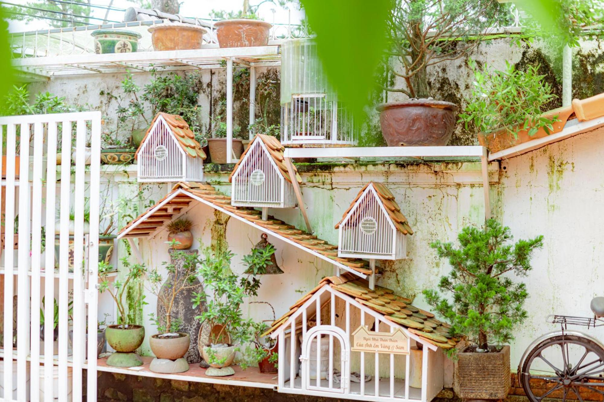 Villa Nho Xinh Khu Chi Lang Екстер'єр фото